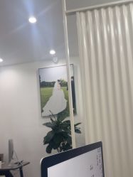 -北遇映画PHOTO GRAPHY STUDIO