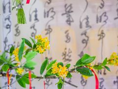 -苏梦江南·淮扬菜(夫子庙店)