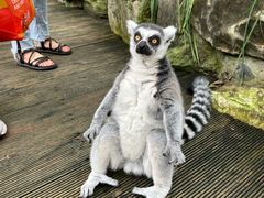 -北京野生动物园