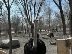 -水上乐园·欢乐世界