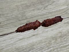 烤筋儿-铁诚烤肉