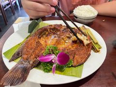 -紫滇源云南生态菜(丹凤街店)