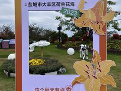 -荷兰花海