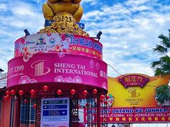 -马六甲鸡场街