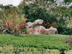 -桃花岛风景旅游区
