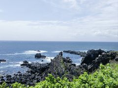 -涉地可支