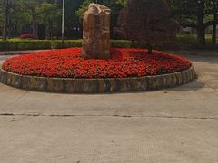 -风云岭森林公园