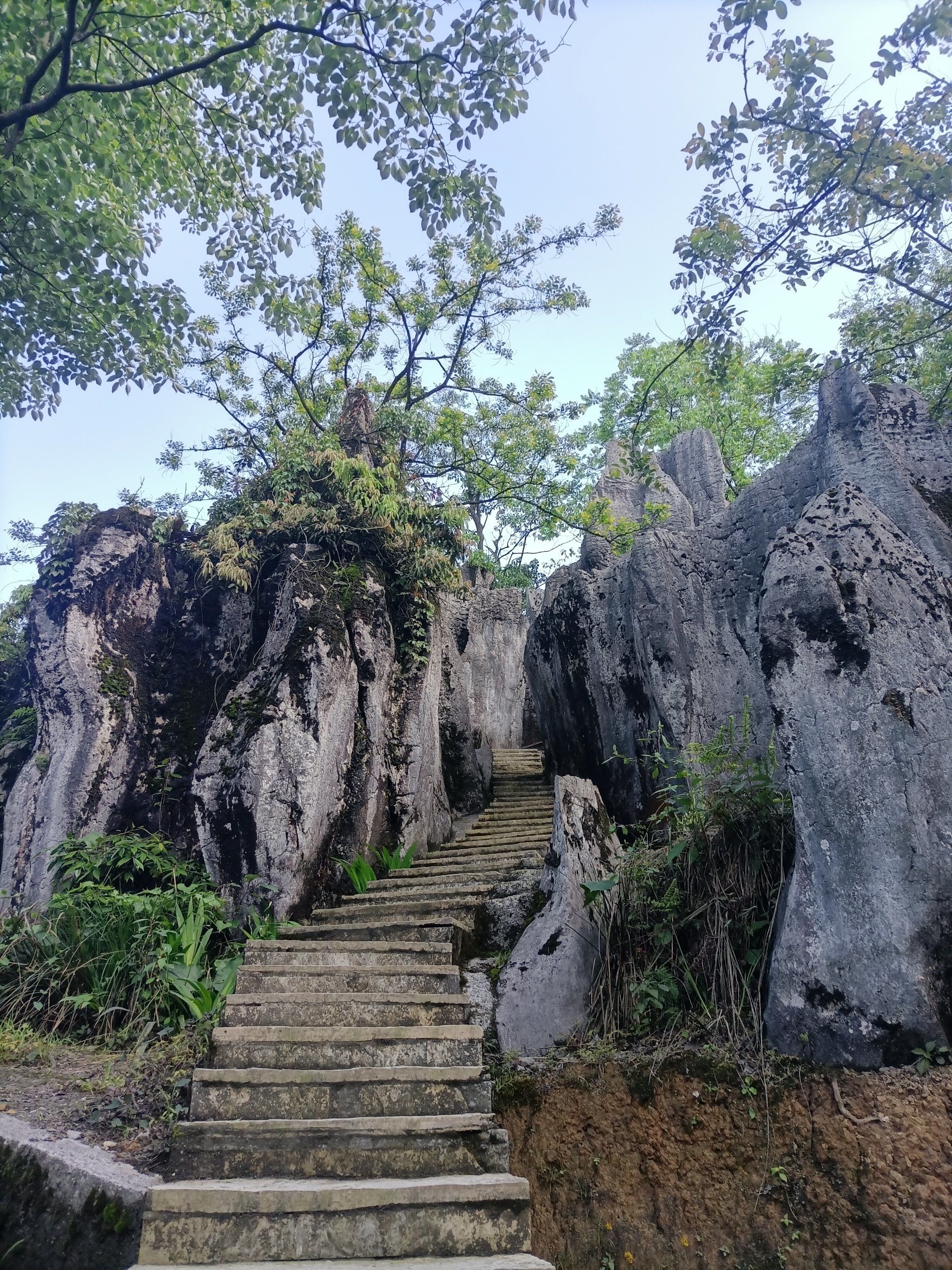 去这里探寻原始的石林地貌吧