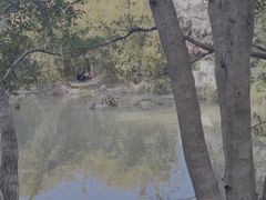 -汇龙潭