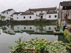 -东梓关景区村庄