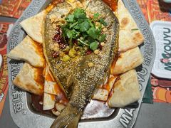 -马有鱼·馕坑烤全鱼(美美2店)