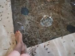 -中家鑫园温泉酒店鑫悦汤泉