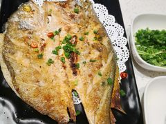 -九府羊·鲜羊火锅·烤串(新华路店)