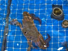 -醉壹号海鲜大排档(厦门美食地标店)