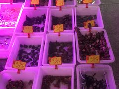 -宝鸡东道花鸟鱼虫市场(吉利花园商场店)