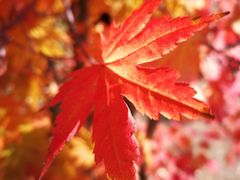 -丹东天桥沟景区