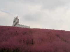 -千岛湖东南湖区