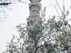 -石室禅院