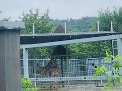 -上方山森林动物世界