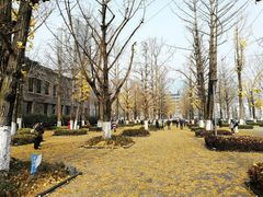 -百林公园-两江幸福广场