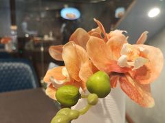 -肆月河豚·新淮扬(金融街店)