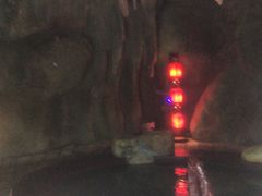-东方华地城湿地温泉度假区
