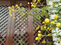 -南通鹏欣花园国宾酒店