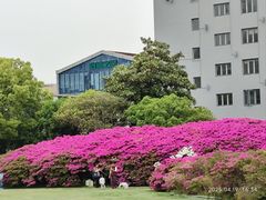 -长阳创谷