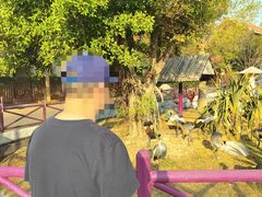-灵玲国际马戏城