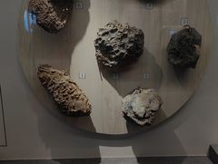 -贵州省地质博物馆