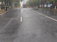 -艾溪湖湿地公园