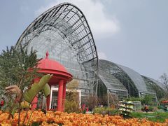 -南山植物园