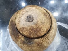 原只椰子炖竹丝鸡-達揚原味燉品(文明路店)