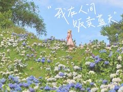 -花博汇(知音花月夜)