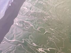 -会江钓鱼钓虾烧烤场