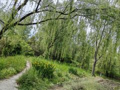 -溱湖国家湿地公园