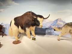 -陕西自然博物馆