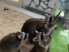 -海合安武汉极地海洋公园