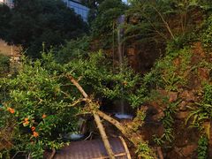 -上海虹桥宾馆味翠餐厅