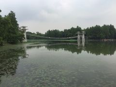 -东湖落雁景区
