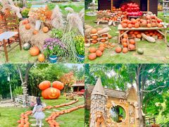 -HERRE·FARM 赫尔露营农场·团建聚会包场