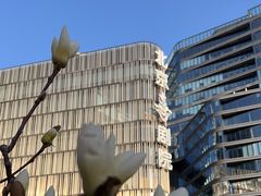 -北京喜剧院