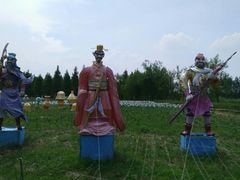 -杭州湾海上花田景区