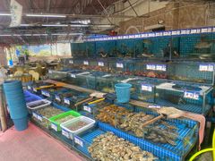 -西涌国际滨海旅游区