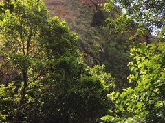 -七仙岭温泉国家森林公园