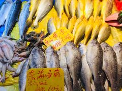 -浦商菜市场·锦德店