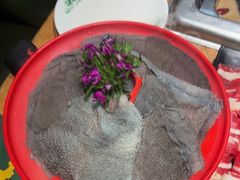 -草原塞蛮羊火锅城(港湾店)