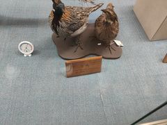 -陕西自然博物馆