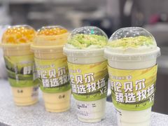 -茉酸奶(春熙路店)