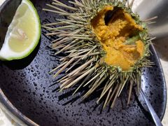 -蚝堡·生蚝海鲜烧烤物种起源•海肠捞饭(刘公岛店)